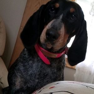 Meet your Posher, Kelsey